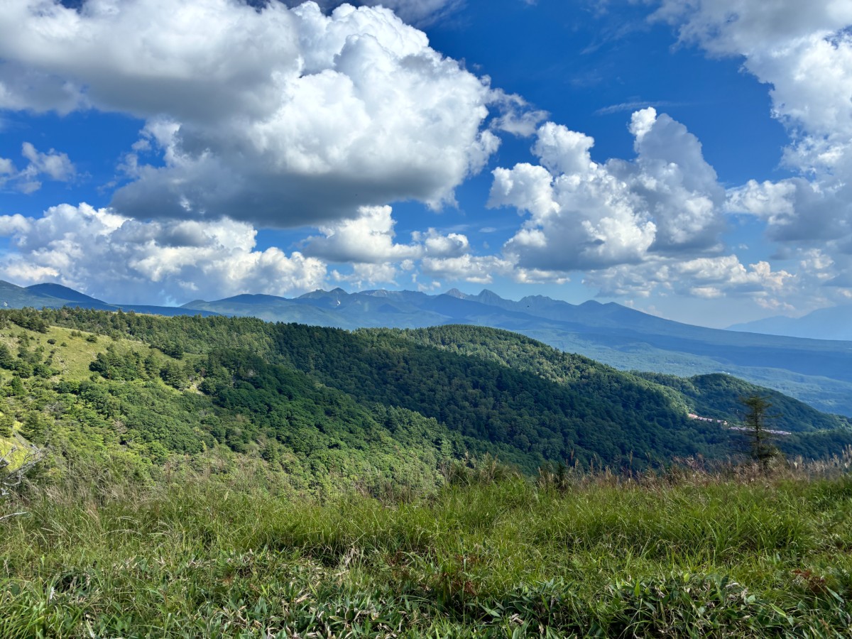自己紹介を兼ねて、僕の名前とその由来について