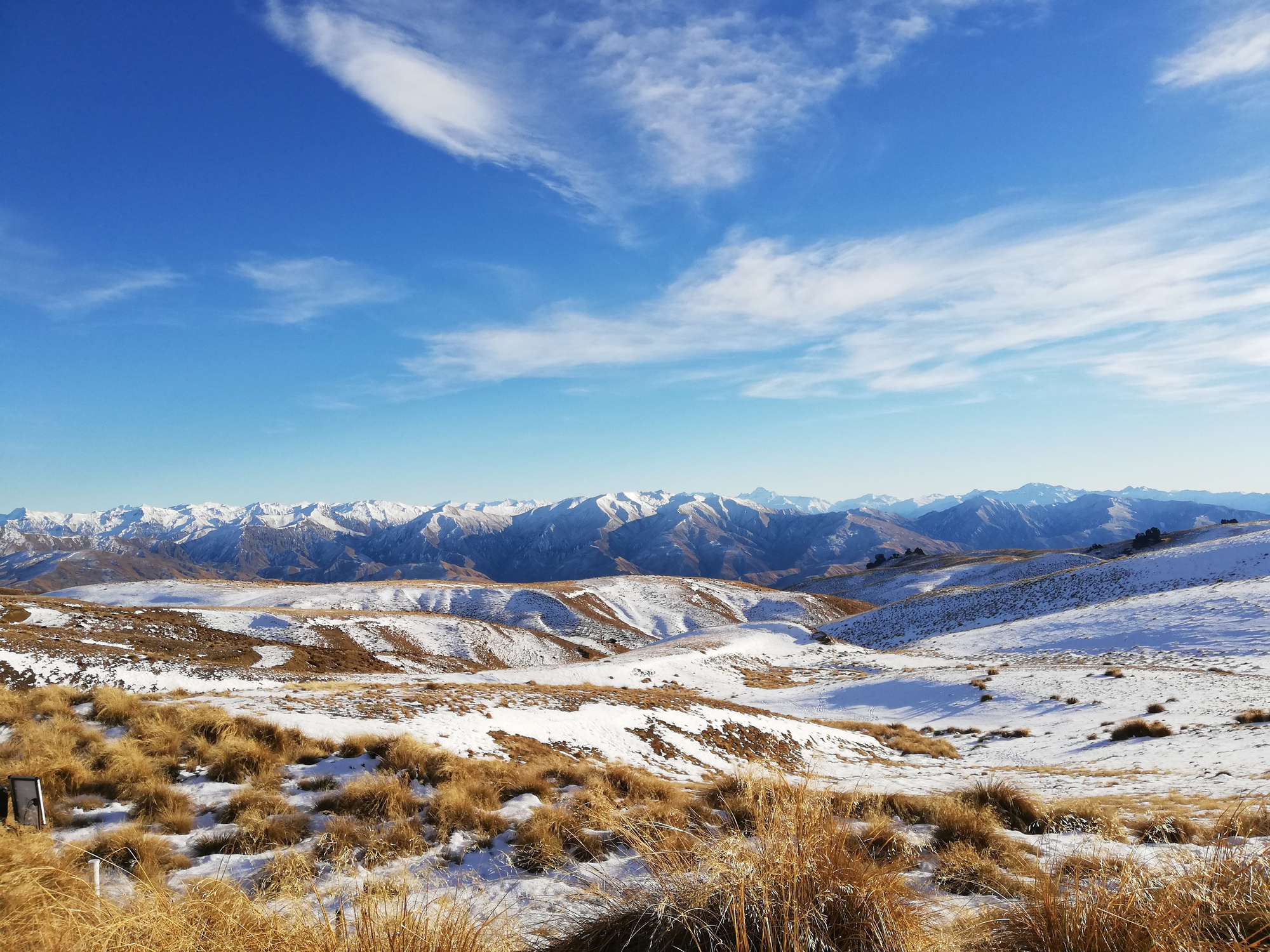 車両試験でNew Zealandに行ったときのこと
