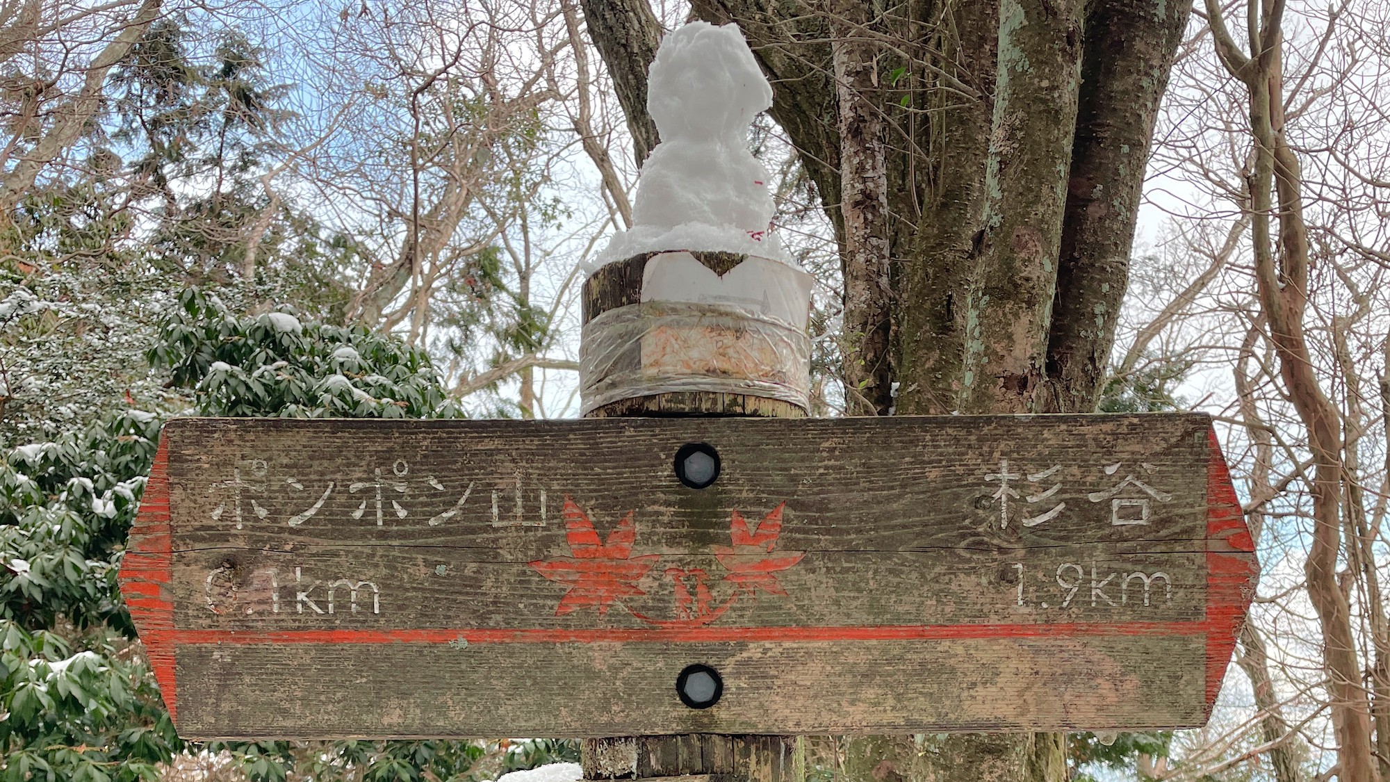 ポンポン山を越えて京都へ